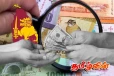 இலங்கையர்கள் நாட்டுக்கு அனுப்பும் பணம் அதிகரிப்பு