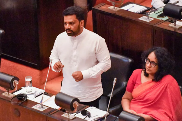 தெரு நாய்களுக்கும் பாதீட்டில் கிடைத்த இடம் ; அனுர அரசாங்கத்தால் அறிமுகமாகும் வசதி | Even Street Dogs Got A Place In The Party தெரு நாய்களுக்கும் பாதீட்டில் கிடைத்த இடம் ; அனுர அரசாங்கத்தால் அறிமுகமாகும் வசதி | Even Street Dogs Got A Place In The Party