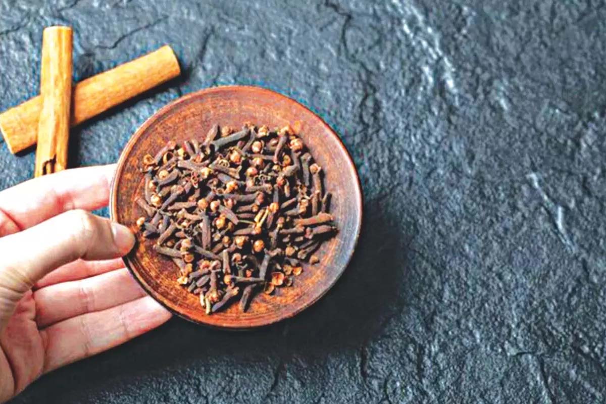 கோடைக்காலத்தில் கிராம்பு உட்கொண்டால் பிரச்சனை ஏற்படுமா? | Benefits Of Eating Cloves During Summer கோடைக்காலத்தில் கிராம்பு உட்கொண்டால் பிரச்சனை ஏற்படுமா? | Benefits Of Eating Cloves During Summer