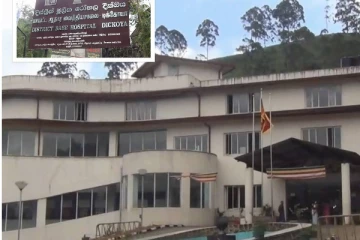 குளவிக்கொட்டுக்கு இலக்கான மூவர் வைத்தியசாலையில்