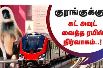 குரங்குக்கே கட் அவுட் வைத்த ரயில் நிர்வாகம்: குரங்கின் அட்டூழியத்தை ஒழிக்க புதிய யுக்தி