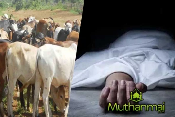 வாழைச்சேனையில் மீட்கப்பட்டுள்ள 19 வயது இளைஞனின் சடலம்