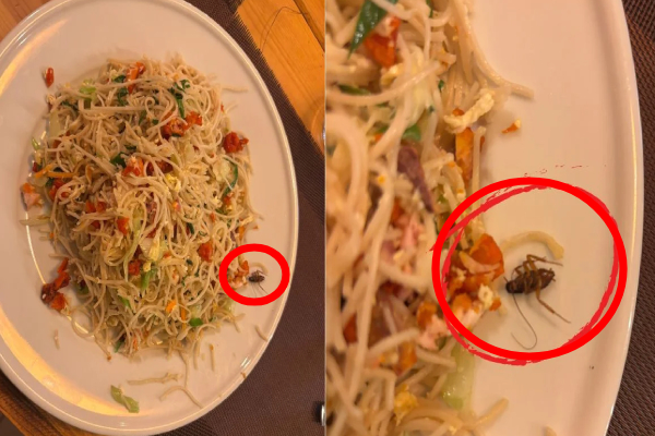 யாழில் கரப்பான் பூச்சி நூடில்ஸ்; புத்தாண்டில் ஹோட்டலுக்கு சென்ற குடும்பம் ஷாக்! | Cockroach Noodles In Jaffna யாழில் கரப்பான் பூச்சி நூடில்ஸ்; புத்தாண்டில் ஹோட்டலுக்கு சென்ற குடும்பம் ஷாக்! | Cockroach Noodles In Jaffna