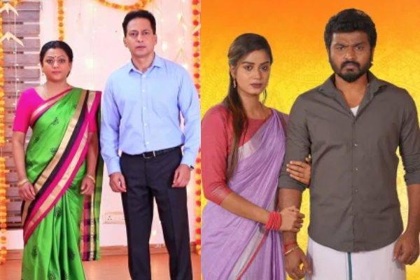 பாக்கியலட்சுமி சீரியல் நடிகருக்கு, ராஜா ராணி சீரியல் நடிகையுடன் காதல் தோல்வி.. ரசிகர்கள் ஷாக்