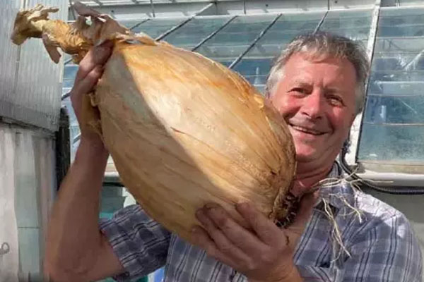 உலக சாதனை படைத்த வெங்காயம் | World Record Onion