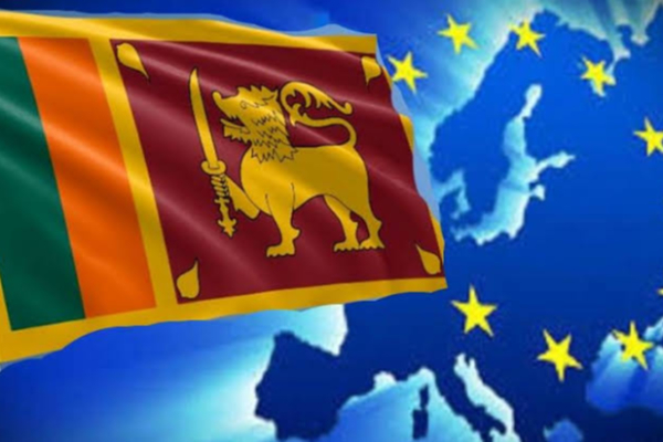 ஐரோப்பிய ஒன்றியத்தால் இலங்கைக்கு புதிய விதிமுறைகள் அறிமுகம் | Rubber Export European Union Nalinda Jayatissa