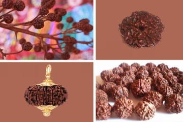 ருத்ராட்சத்தில் மருத்துவ குணங்கள் இருப்பது உண்மையா?