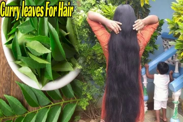 காடு போல அடர்த்தியான தலைமுடி வேண்டுமா? கறிவேப்பிலையுடன் இதை கலந்தால் போதும்