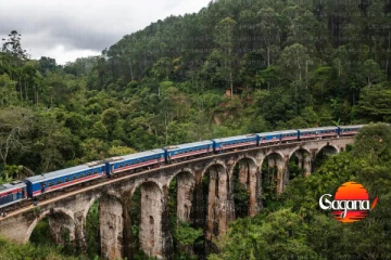 ආරුක්කු නමය පාලම ගැන අවාසනාවන්ත කතාවක් එළියට