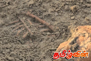 செம்மணி புதைகுழியில் ஏராளமான எலும்புக்கூடுகள் இருப்பதற்கான சாத்தியக்கூறுகள்