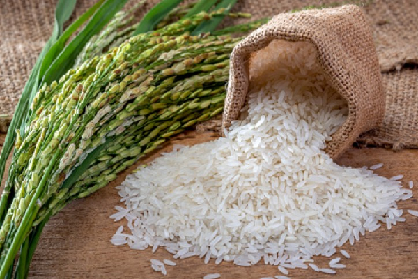 மக்களுக்கு இன்னுமோர் இடி - அதிகரிக்க இருக்கும் அரிசியின் விலை! - ஐபிசி தமிழ்