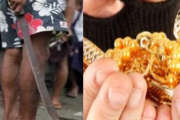 யாழில் கனடா பிரஜைகள் தங்கியிருந்த வீட்டிற்குள் புகுந்து வாள்வெட்டு தாக்குதல்!