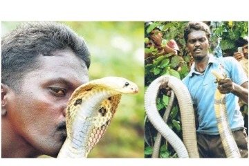 பாம்பு கடித்த பின் காரில் கண்ணீருடன் தன் குடும்பத்தை நினைத்து கடைசியாக பேசிய வாவா சுரேஷ் - திக் திக் நிமிடம்...