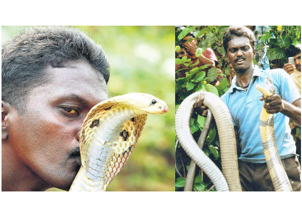 பாம்பு கடித்த பின் காரில் கண்ணீருடன் தன் குடும்பத்தை நினைத்து கடைசியாக பேசிய வாவா சுரேஷ் - திக் திக் நிமிடம்... - தமிழ்நாடு