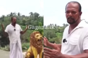 ඇත්තටම අවසන් කැමැත්ත වුණේ මොකක්ද?. මරණයට කලින්ම සොහොන හැදුව තෙවරප්පෙරුම.. (VIDEO)