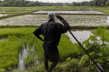 ගොවින්ගෙන් රතු එළියක් - විසදුම් නොලැබුණොත් මහපාරට