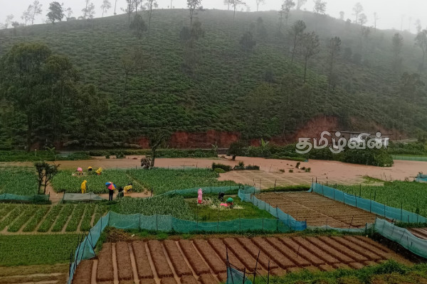 நாட்டில் நிலவும் சீரற்ற காலநிலை! பல பகுதிகள் பாதிப்பு | Bad Weather Sri Lanka