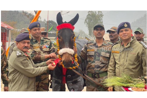 a-complimentary-card-for-donkeys