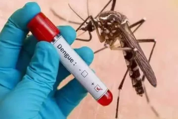 10 நாட்களில் 166 வைத்தியசாலை பணியாளர்கள் டெங்கு நோயினால் பாதிப்பு