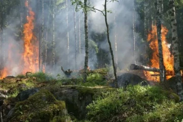 கனடாவில் பயங்கர காட்டுத்தீ: தொழில்நுட்ப உதவியை வழங்கும் அமெரிக்கா!