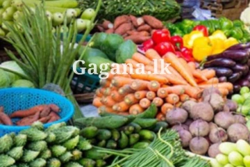 රොකට් වේගයෙන් ගිය එළවළු මිලට එකපාරටම මොකද වුණේ දන්නව ද?.