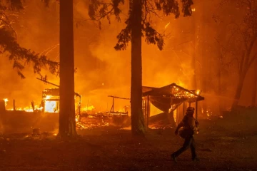 பற்றி எரியும் காட்டுத் தீ; கலிபோர்னியாவில் அவசரநிலை அறிவிப்பு!