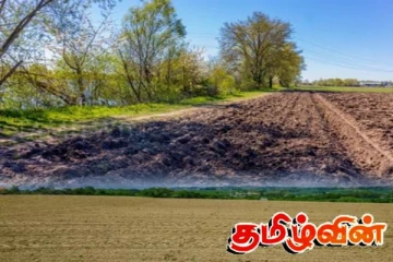 பயிரிடப்படாத காணிகளை குறி வைக்கும் அரசாங்கம்! நாளை முதல் முன்னெடுக்கப்படவுள்ள நடவடிக்கை