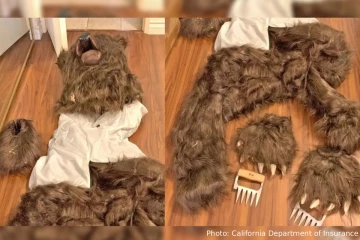 ரூ.1.18 கோடி இழப்பீடு: கரடி வேடமிட்டு காப்பீட்டு நிறுவனத்தை ஏமாற்றிய மூவர்