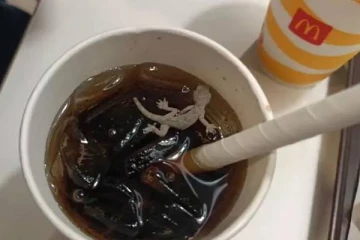 குளிர்பானத்தில் பல்லி கிடந்த விவகாரம் : மெக்டொனால்டுக்கு  ரூ.1 லட்சம் அபராதம்