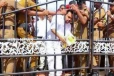 රණවිරුවන්ට මල් කළඹක් තියන්නත් අවසර ඕනෑ යුගයක්..මල් තියන්න ගිහින් තමාට වෙච්ච අසාධාරණේ කියන විමල්