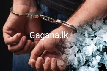 අයිස් සමඟ මරඳගහමුල අයිස් චන්දිමාල් පොලිස් අත්අඩංගුවට..