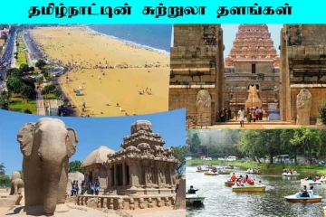தமிழ்நாட்டில் இதை மட்டும் மிஸ் பண்ணிடாதீங்க! கட்டாயம் பார்க்க வேண்டிய சுற்றுலா தளங்கள்