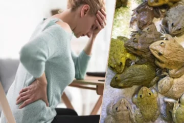 கடுமையான முதுகுவலிக்காக உயிருள்ள தவளைகளை விழுங்கிய பெண் ; அடுத்து நடந்த சம்பவம்