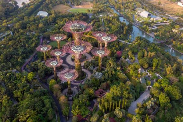 TCDC: சிங்கப்பூரின் சுற்றுலா தள வடிவில் ஷிவானி செய்த dish! இவ்வளவு பிரபலமா? | Topcookudupecooku Shivani Narayanan Dish Viral