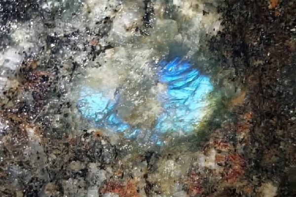 கண்டியில் கண்டெடுக்கப்பட்ட மர்ம கல் தொடர்பில் வெளியான பரபரப்பு தகவல் | Secret Of The Halaha Rock Is Revealed