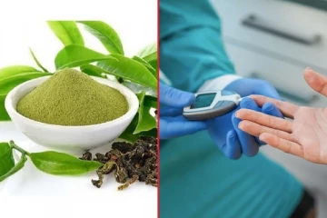 சர்க்கரையை கட்டுப்படுத்தும் தெய்விக மூலிகை பொடி ! தொடர்ந்து எடுத்து வந்தால் சர்க்கரை நோய் கட்டுக்குள் இருக்குமாம்