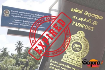 වීසා ඉවරයිනන් ගෙදර යන්න