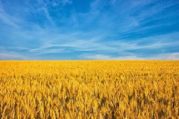 விவசாய சீரமைப்பிற்கு பெரும் தொகையை பெறவுள்ள உக்ரைன்: உதவிய உலக வங்கி