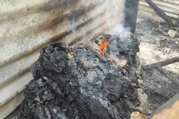 முல்லை புதுக்குடியிருப்பில் இளம் குடும்பத்திற்கு நிகழ்ந்த துயரம்