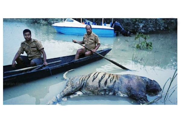 அசாமில் கனமழையால் கடும் வெள்ளப்பெருக்‍கு - காண்டாமிருகம் உள்ளிட்ட 24 அரிய வகை விலங்குகள் பலி! | India Samugam