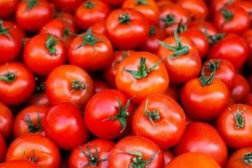 கனமழை எதிரொலி - ஒரே நாளில் தக்காளி விலை..எவ்வளவு தெரியுமா?