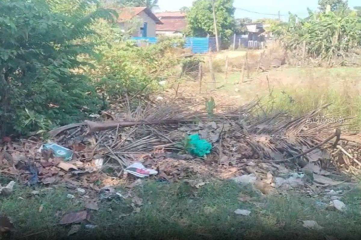 பாடசாலை முன்பு கோழிக் கழிவுகள்: ஊதுபத்தி ஏந்தி படிக்கும் மாணவர்கள்! | Chicken Droppings In Front Of School