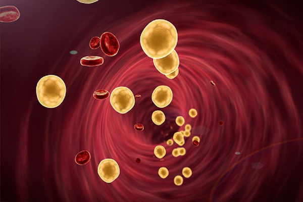 கொலஸ்ட்ராலை கட்டுப்படுத்தும் சாக்லேட்! | Chocolate That Controls Cholesterol
