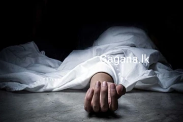 බෑනා ගේ උදලු පහරින් මාමණ්ඩිය මියයයි..