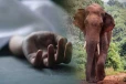 மட்டக்களப்பில் பறிபோகும் உயிர்கள் ;அச்சத்தில் மக்கள்