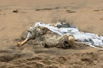 மருதமுனையில் கரையொதுங்கிய மனித எச்சம்! (VIDEO)