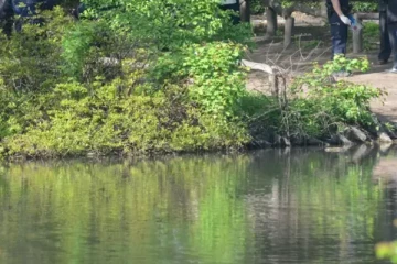 யாழில் குளத்திலிருந்து பெண்ணொருவரின் சடலம் கண்டுபிடிப்பு