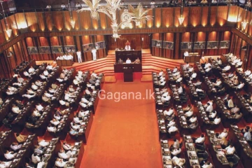 මුදල් පිළිබඳ කාරක සභාවේ සභාපති ධූරය සජිත්පිලට හිමි වෙයි..අනෙක් සාමාජිකයින් මෙන්න.