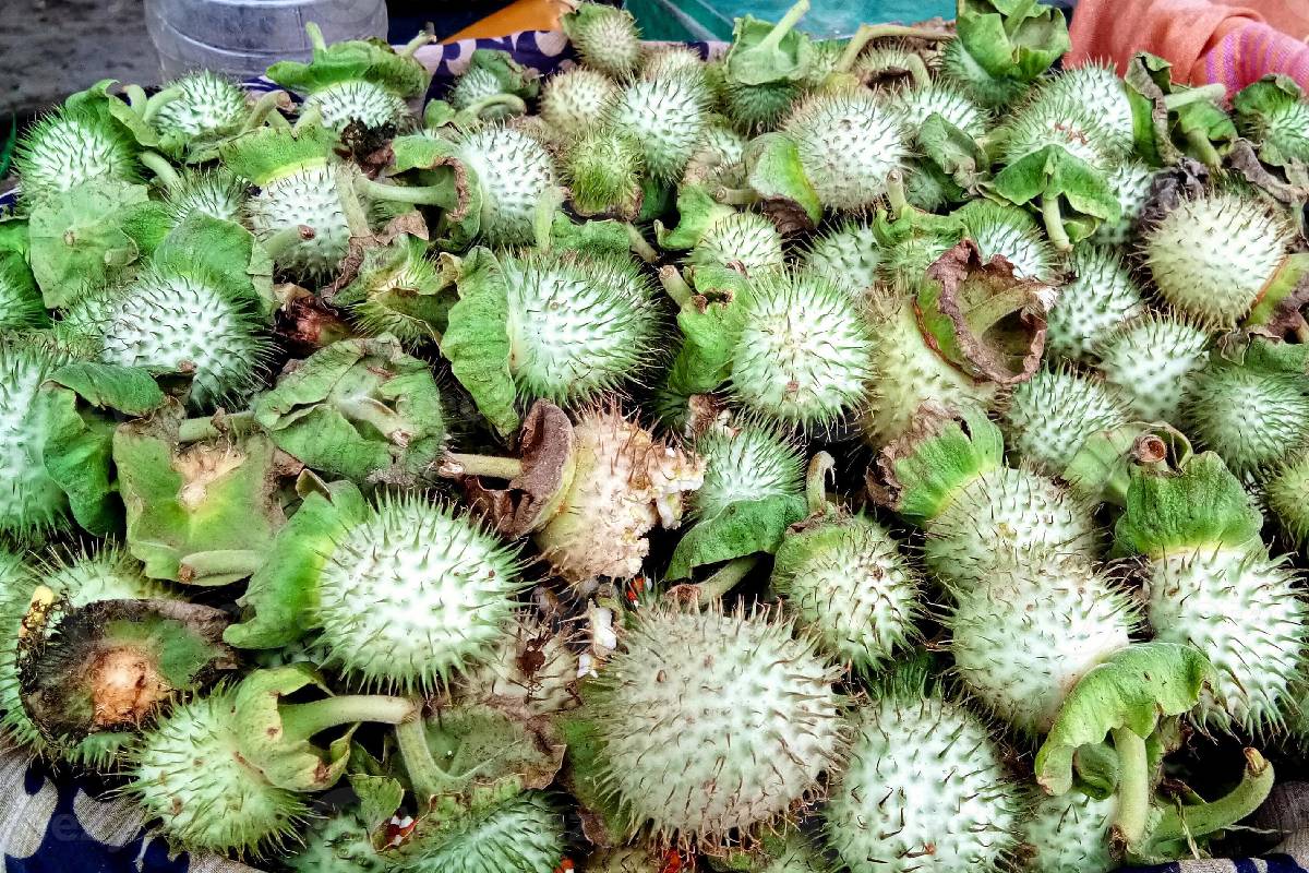 அமேசான், ஸ்விக்கி நிறுவனங்களின் உணவு உரிமங்களை இடைநிறுத்திய கர்நாடகா | Karnataka Suspends Food Licences Of அமேசான், ஸ்விக்கி நிறுவனங்களின் உணவு உரிமங்களை இடைநிறுத்திய கர்நாடகா | Karnataka Suspends Food Licences Of