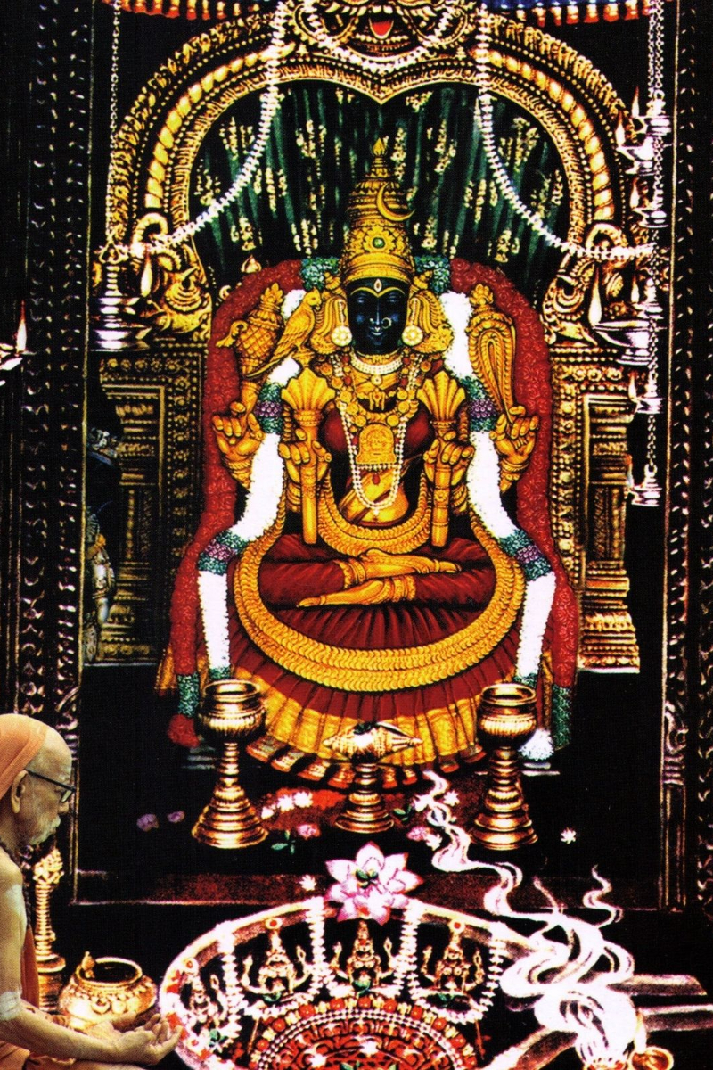 காமாட்சியம்மன் கோயிலுக்கு போறீங்களா? அப்போ இந்த 5 நபரை தரிசிக்க தவறாதீர்கள் | 5 Things We Must Know About Kanji Kamatchi Amman